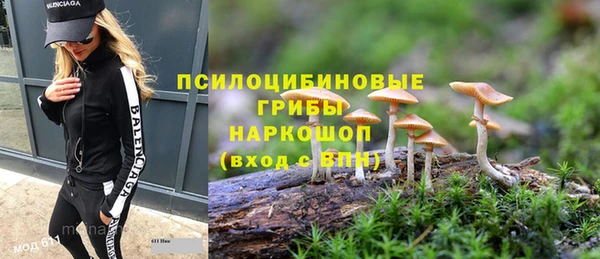 jwh Алзамай