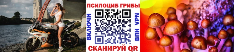 Галлюциногенные грибы мицелий  купить наркоту  blacksprut онион  Чусовой 
