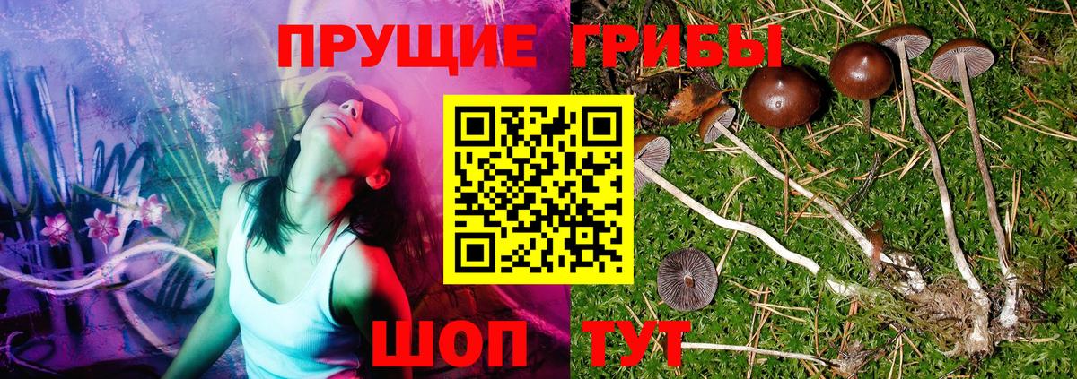 Псилоцибиновые грибы MAGIC MUSHROOMS Чусовой